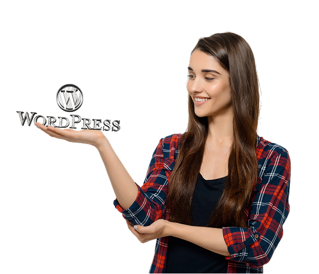 wordpress development services usa